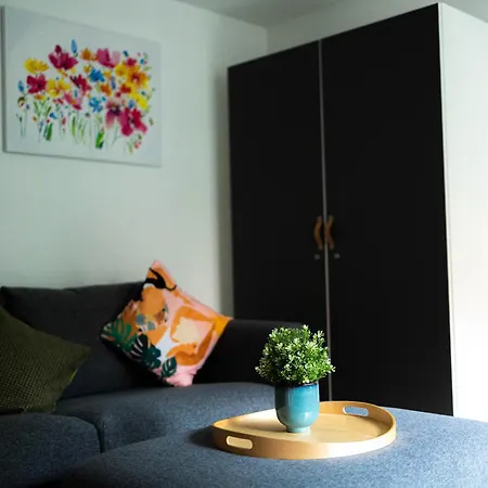 Anca's Haus Apartment *