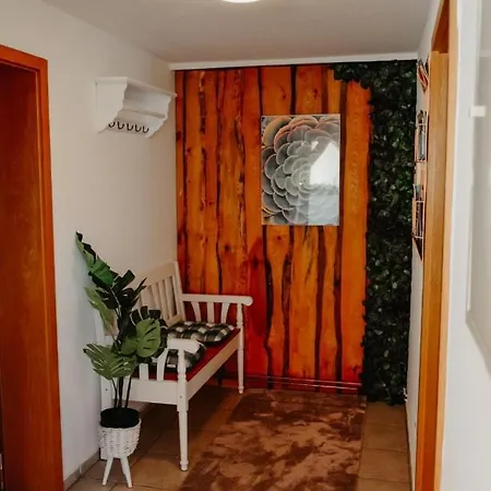 Apartment Anca's Haus *