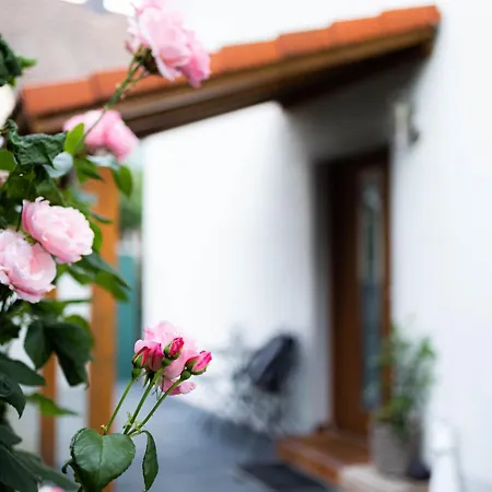 Anca's Haus * Schwanstetten